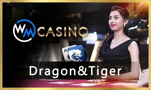 Jili333 Live Casino